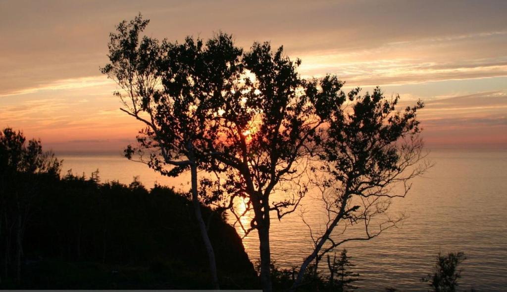 Culloden Cliffside Bed & Breakfast מראה חיצוני תמונה